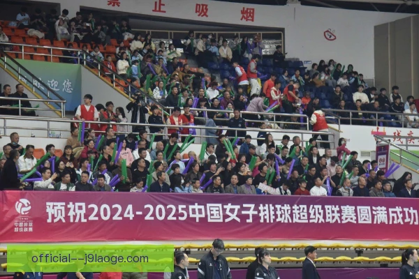 女子联赛退出机制引讨论，俱乐部运营稳定性受考验
